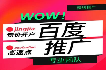 百度竞价案例：如何应对广告竞争压力